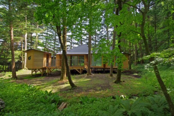 ナカカルフォレスト